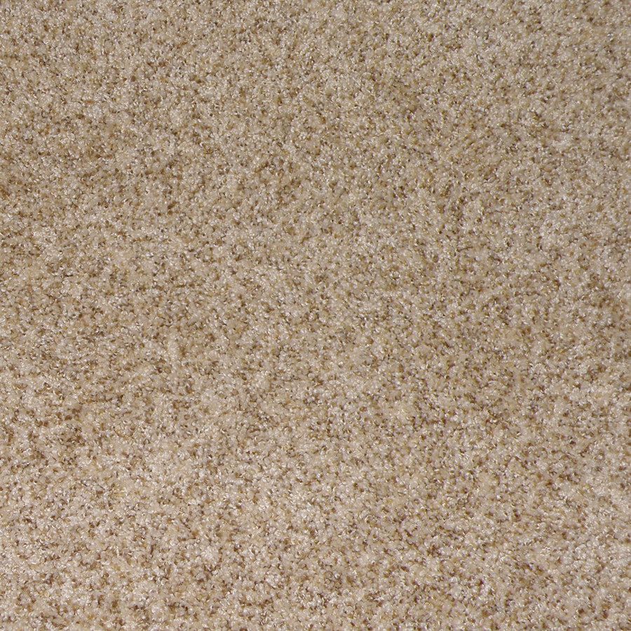 STAINMASTER Stanfield Champagne Cut Pile Indoor Carpet