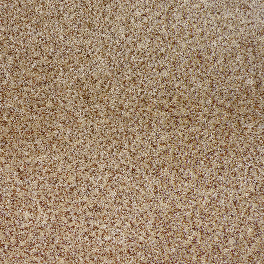 STAINMASTER Stanfield Pristine Cut Pile Indoor Carpet