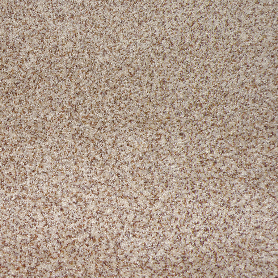 STAINMASTER Weddington Toast Cut Pile Indoor Carpet