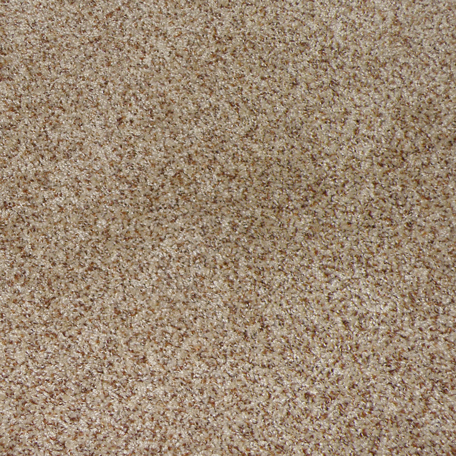 STAINMASTER Weddington Sable Cut Pile Indoor Carpet