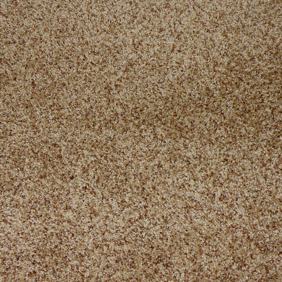 STAINMASTER Weddington Henna Cut Pile Indoor Carpet