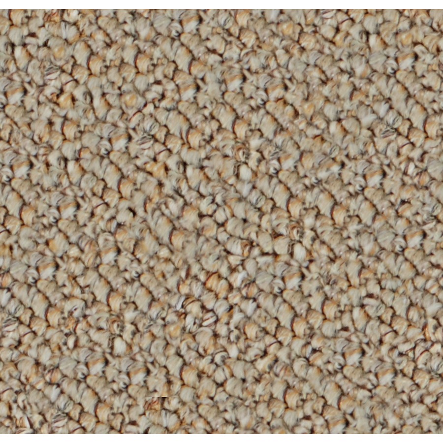 Oceanview Wet Sand Indoor/Outdoor Carpet