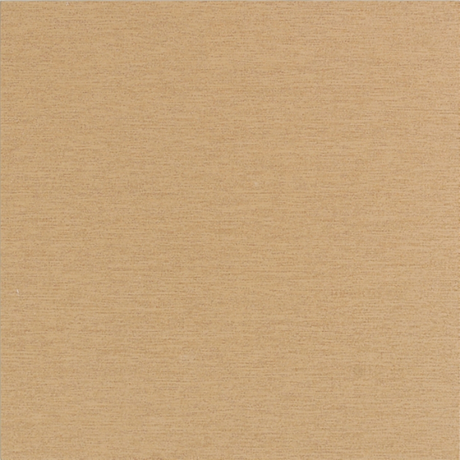 American Olean 8 Pack St. Germain Or Thru Body Porcelain Floor Tile (Common 12 in x 24 in; Actual 11.62 in x 23.43 in)