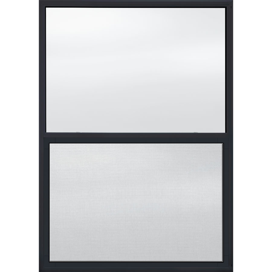 JELD WEN 8100 Series Vinyl Double Pane Replacement Single Hung Window (Fits Rough Opening 52 in x 37 in; Actual 51.875 in x 37.125 in)