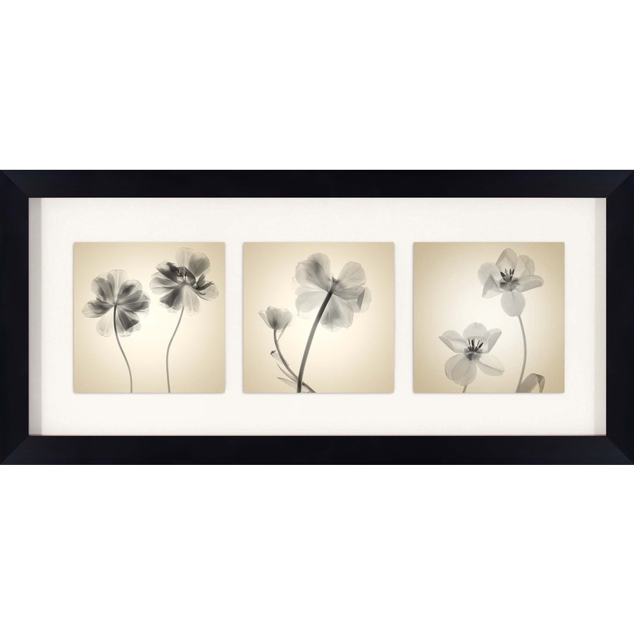 26 in W x 12 in H Floral Framed Art