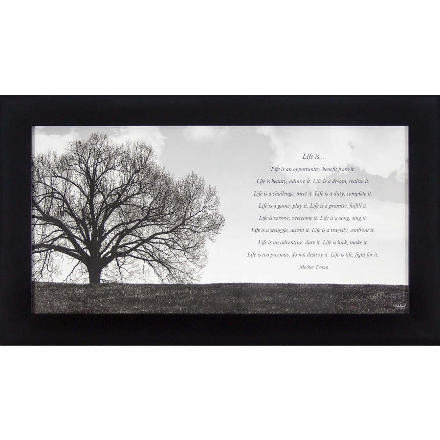 28 in W x 16 in H Inspirational Framed Art