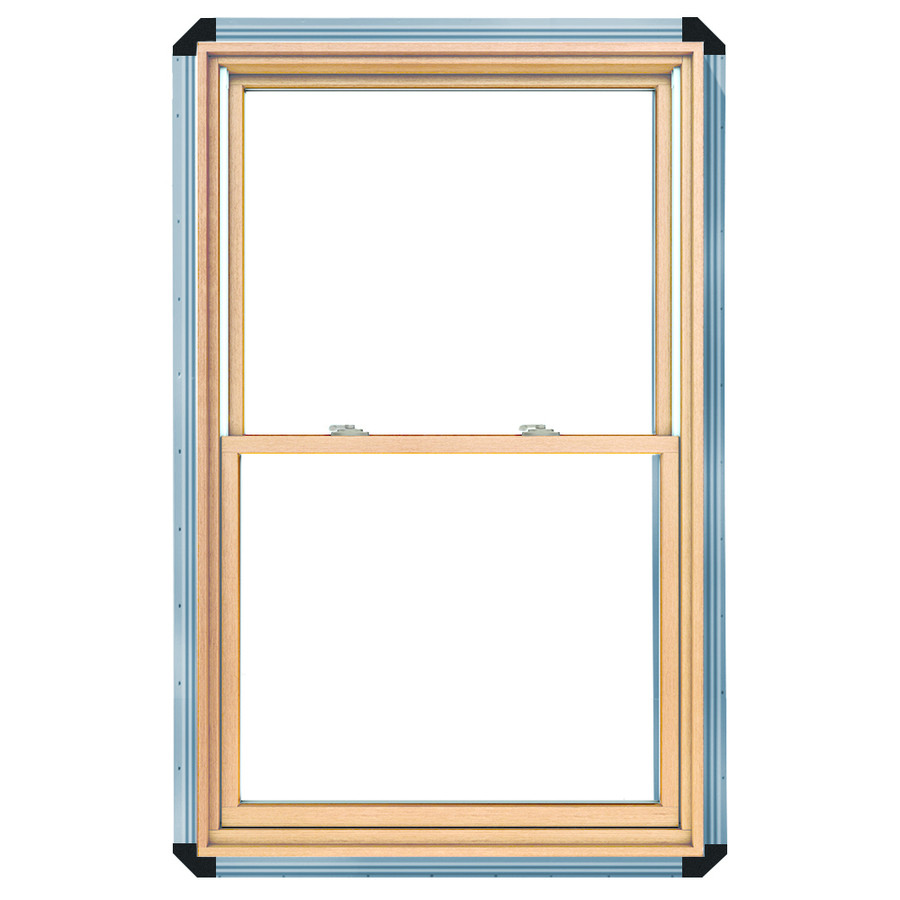 ProLine 450 Series Wood Double Pane Annealed New Construction Double Hung Window (Rough Opening 36.25 in x 38.25 in Actual 35.5 in x 37.5 in)