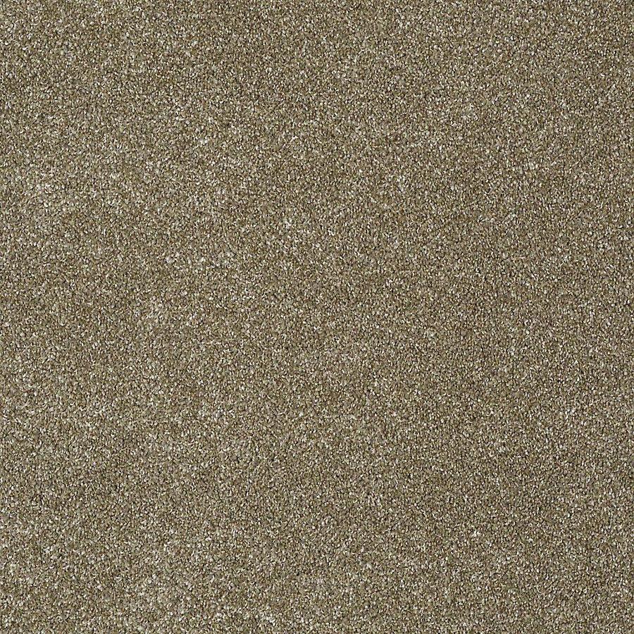 STAINMASTER PetProtect Baxter III Dachshund Textured Indoor Carpet