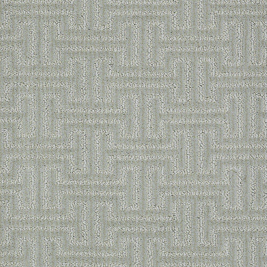 STAINMASTER PetProtect Belle Barker Berber Indoor Carpet