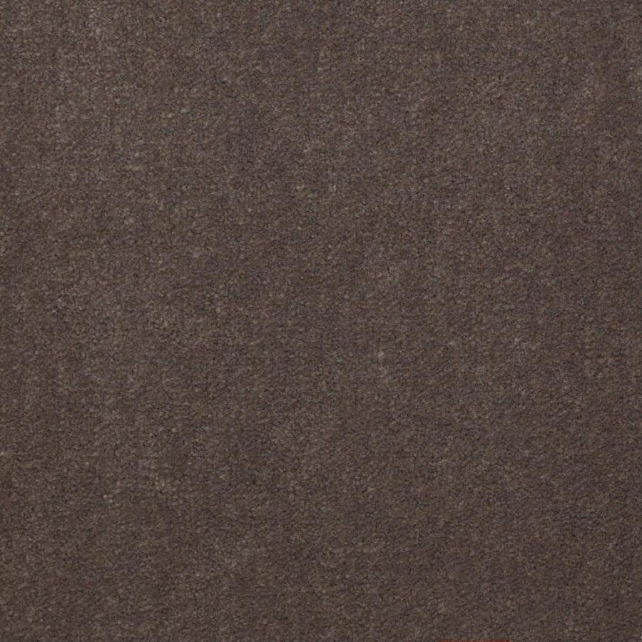 Dynamic 30 Sandy Taupe Cut Pile Indoor Carpet