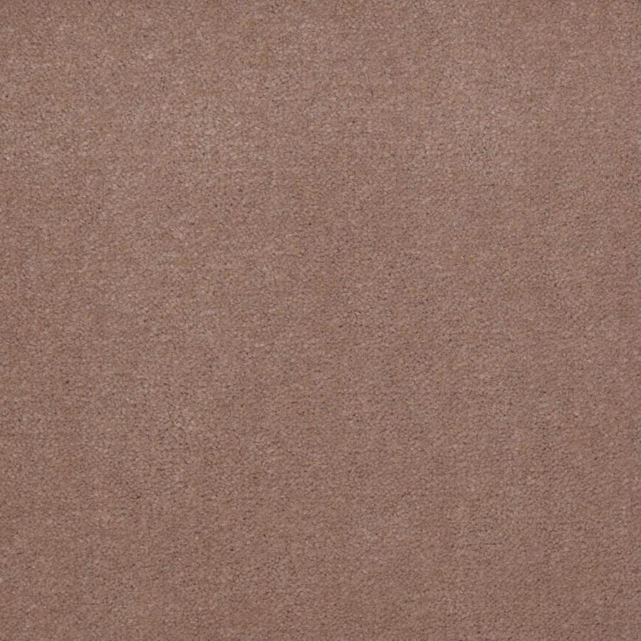 Dynamic 36 Clay Bisque Cut Pile Indoor Carpet