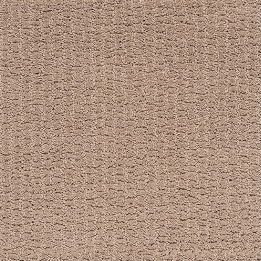 STAINMASTER Active Family Abundant Life Desert Haze Fashion Forward Indoor Carpet