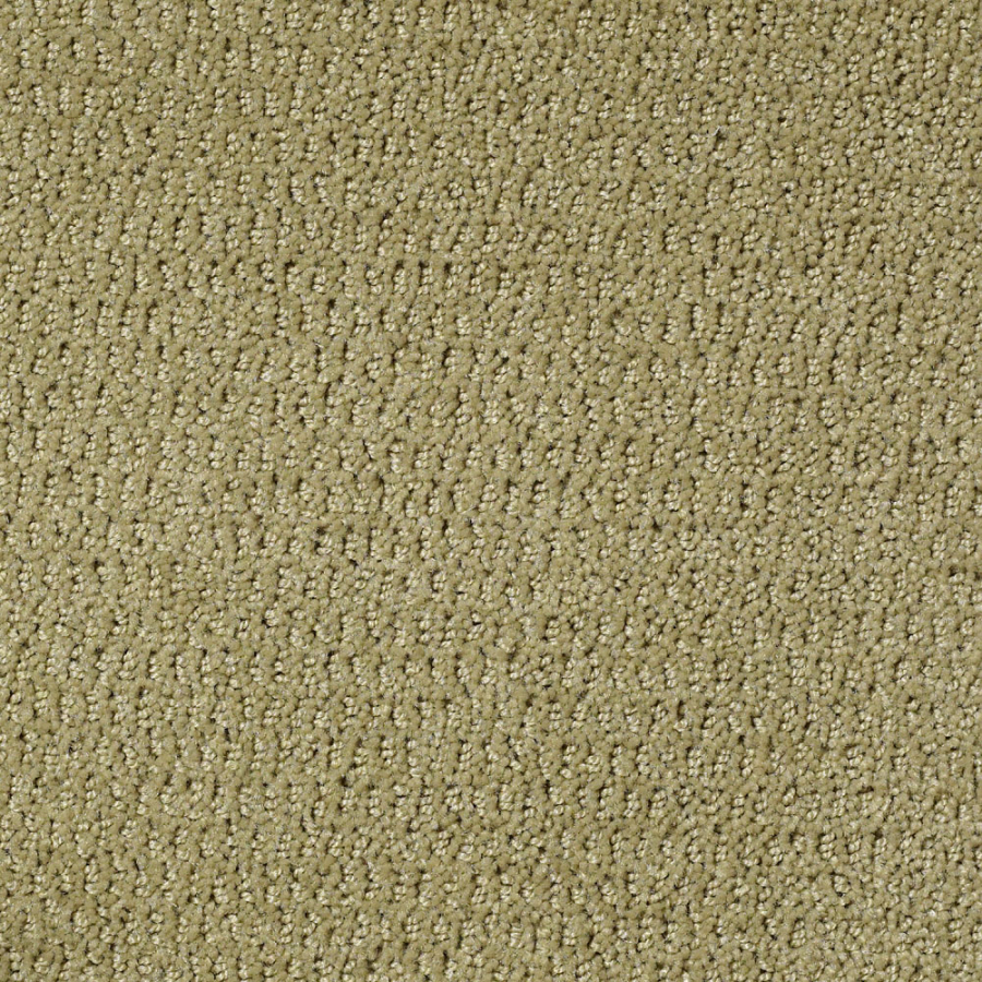 STAINMASTER Active Family Wine and Dine Twist of Lime Fashion Forward Indoor Carpet