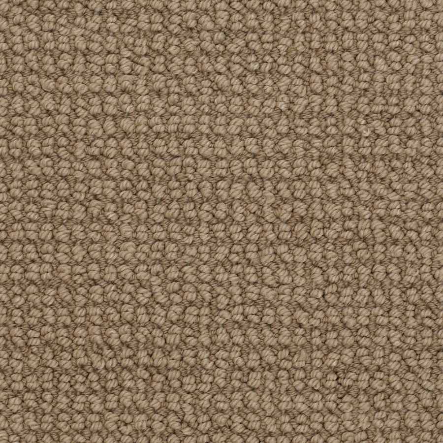 STAINMASTER Rich And Famous Baked Potato Level Loop pile Indoor Carpet