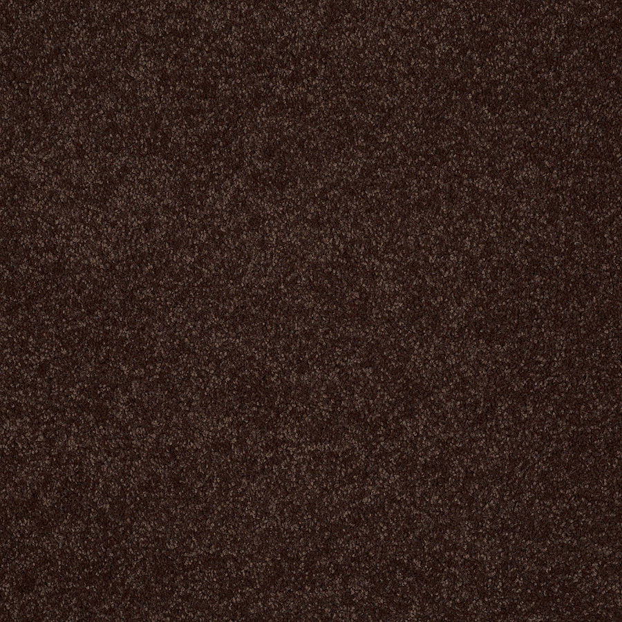 STAINMASTER Trusoft Cotton Island Dark Chocolate Textured Indoor Carpet