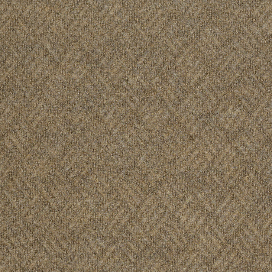 Shaw Harpers Ferry Monterey Point Outdoor Carpet