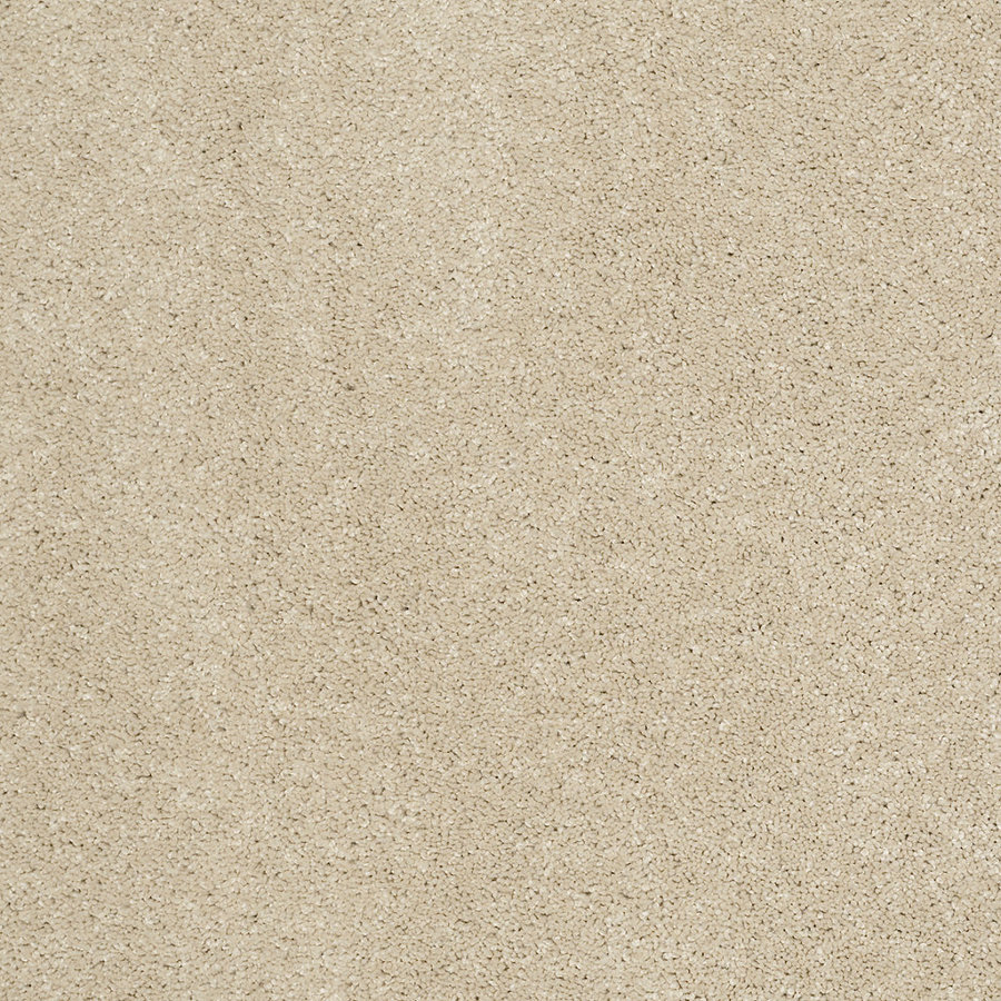 STAINMASTER Trusoft Luscious II Sandstone Textured Indoor Carpet