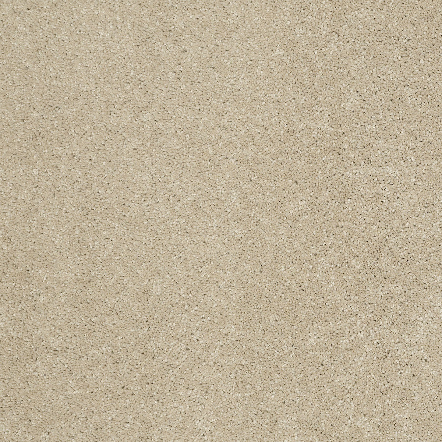 STAINMASTER Trusoft Luscious II Urban Loft Textured Indoor Carpet