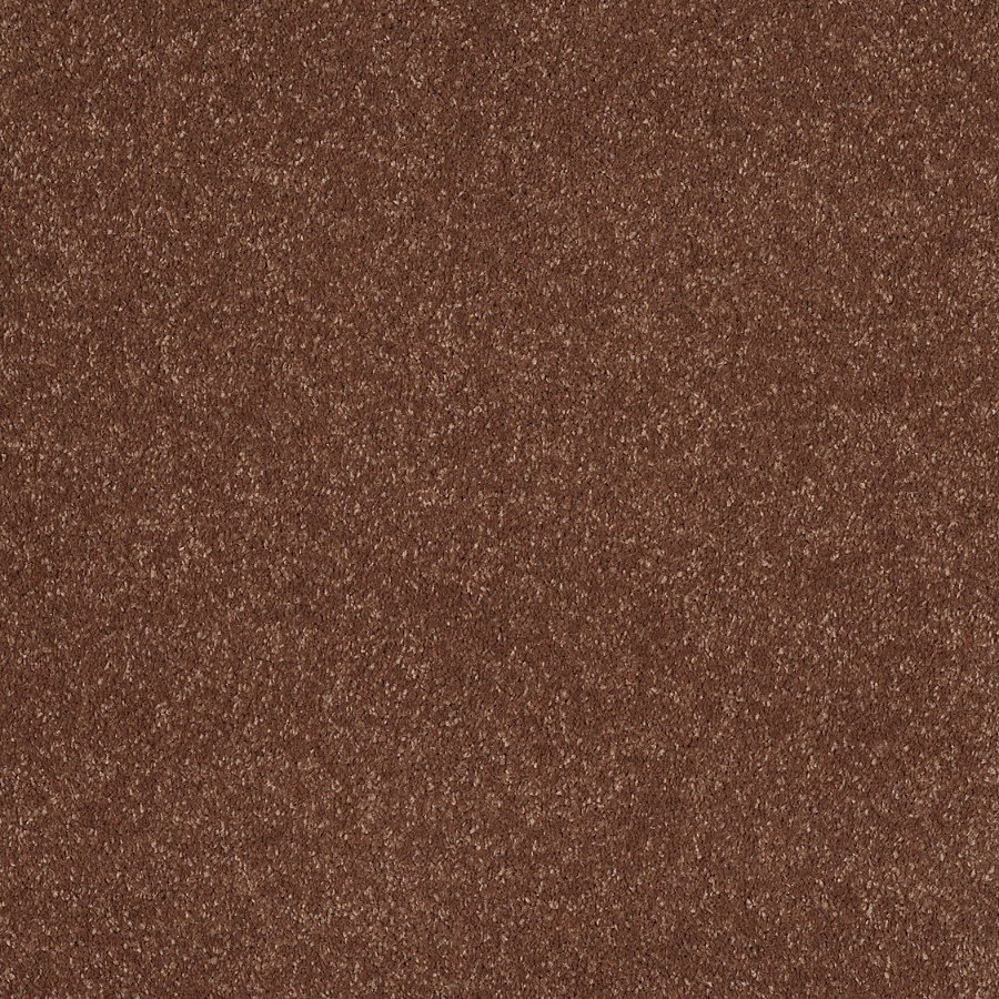 STAINMASTER Trusoft Luscious II Tuscany Textured Indoor Carpet