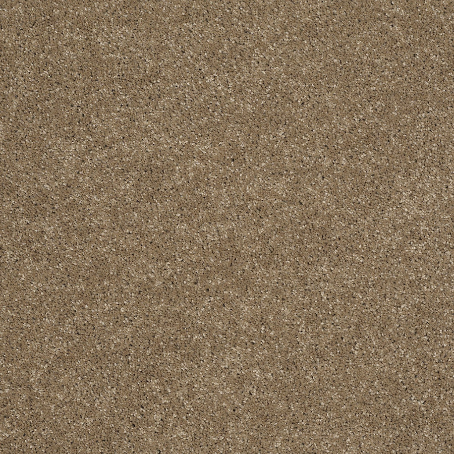 STAINMASTER Trusoft Luscious II Cobblestone Textured Indoor Carpet