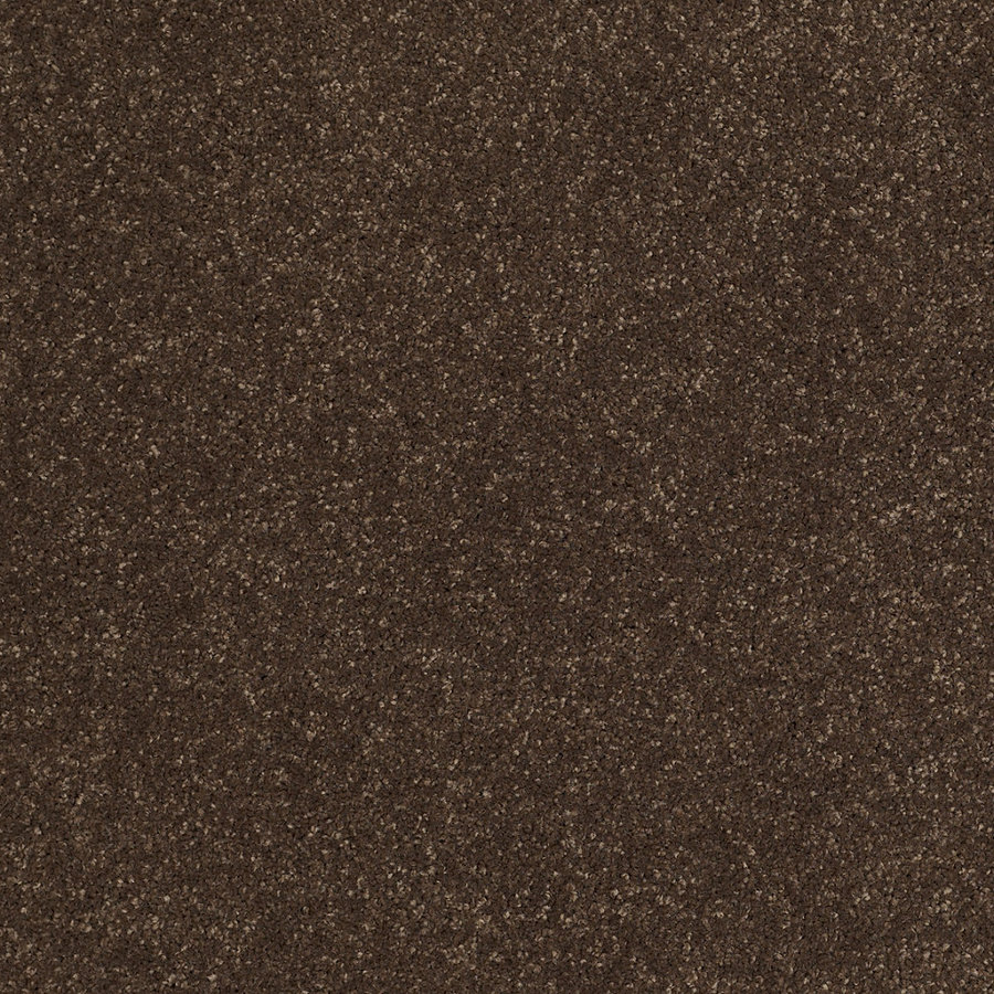 STAINMASTER Trusoft Luscious II Dark Chocolate Textured Indoor Carpet