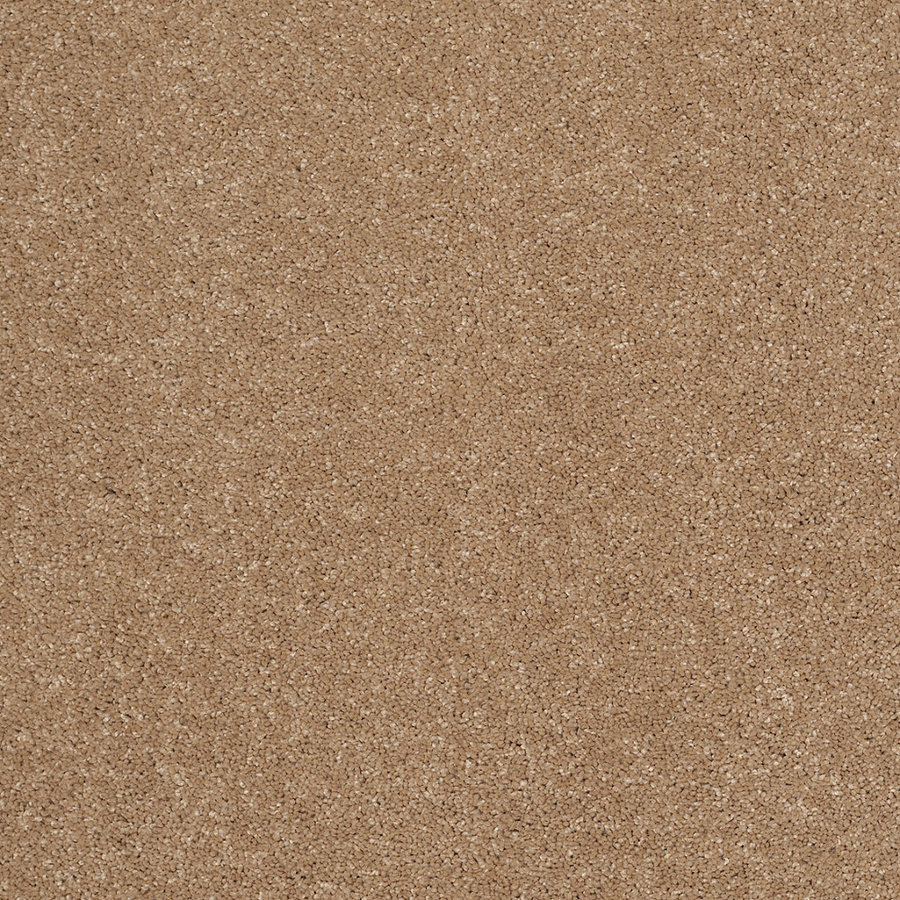 STAINMASTER Trusoft Luscious III Nutmeg Textured Indoor Carpet