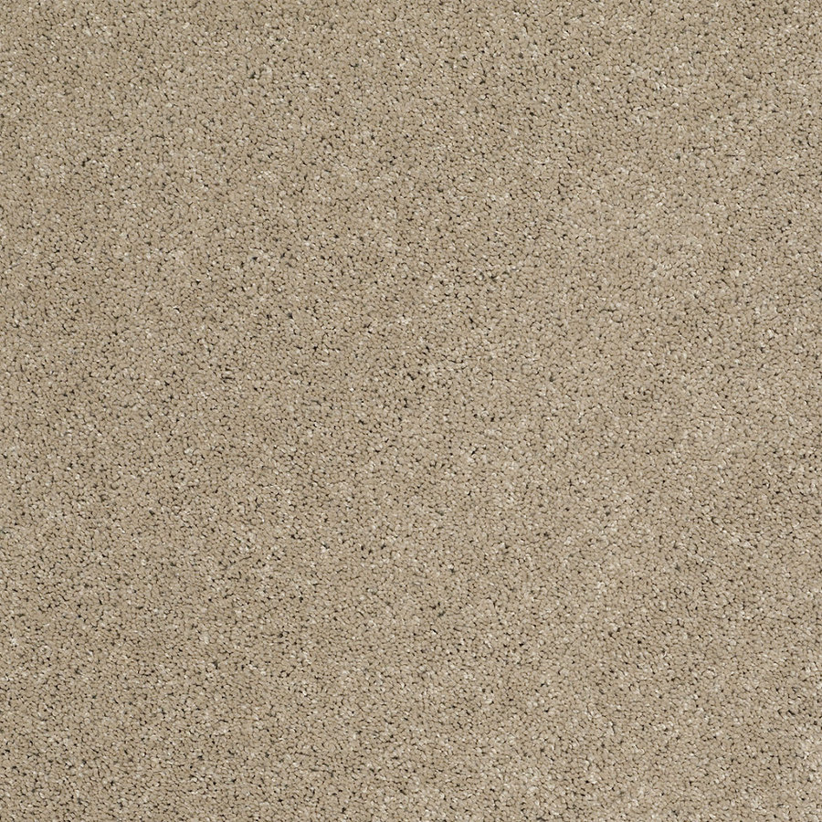 STAINMASTER Trusoft Luscious III Driftwood Textured Indoor Carpet