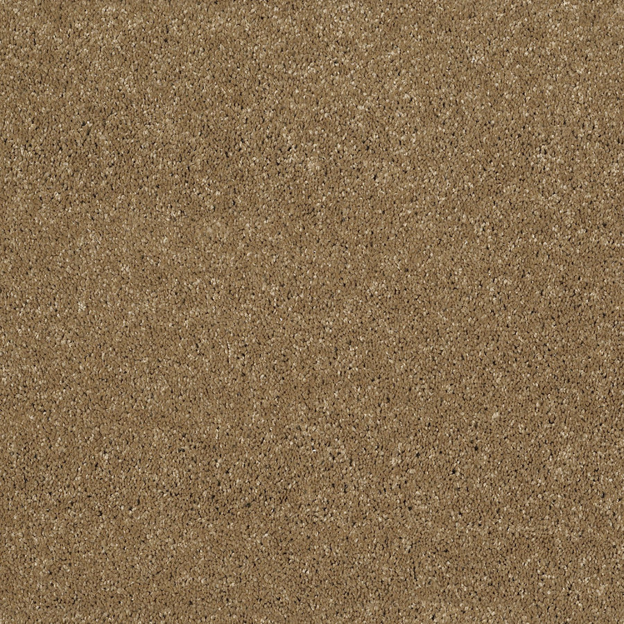 STAINMASTER Trusoft Luscious III Wickerwork Textured Indoor Carpet