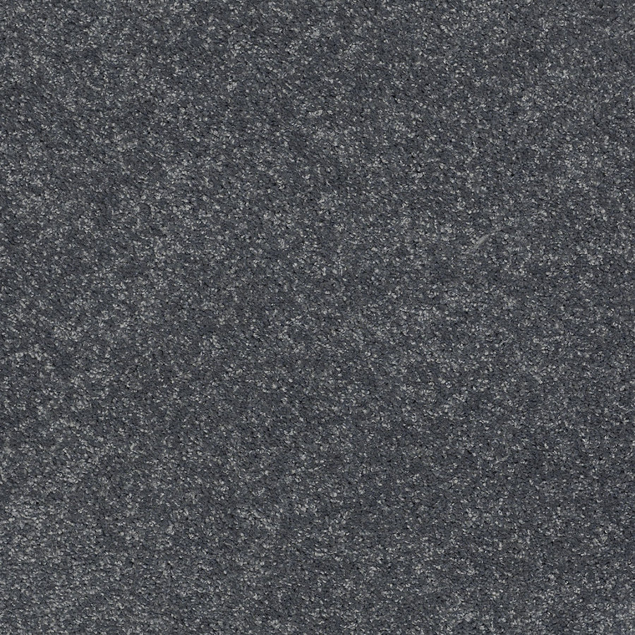 STAINMASTER Trusoft Luscious III Dusk Textured Indoor Carpet