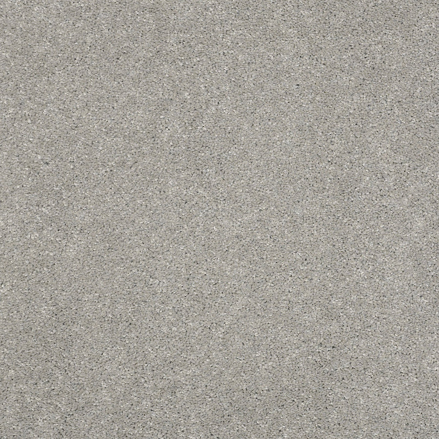 STAINMASTER Trusoft Luscious III Carbon Textured Indoor Carpet