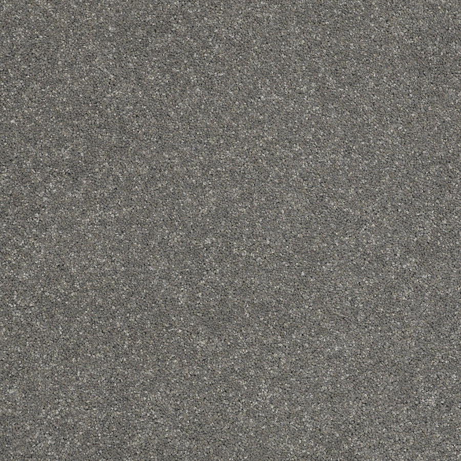 STAINMASTER Trusoft Luscious III Slate Textured Indoor Carpet