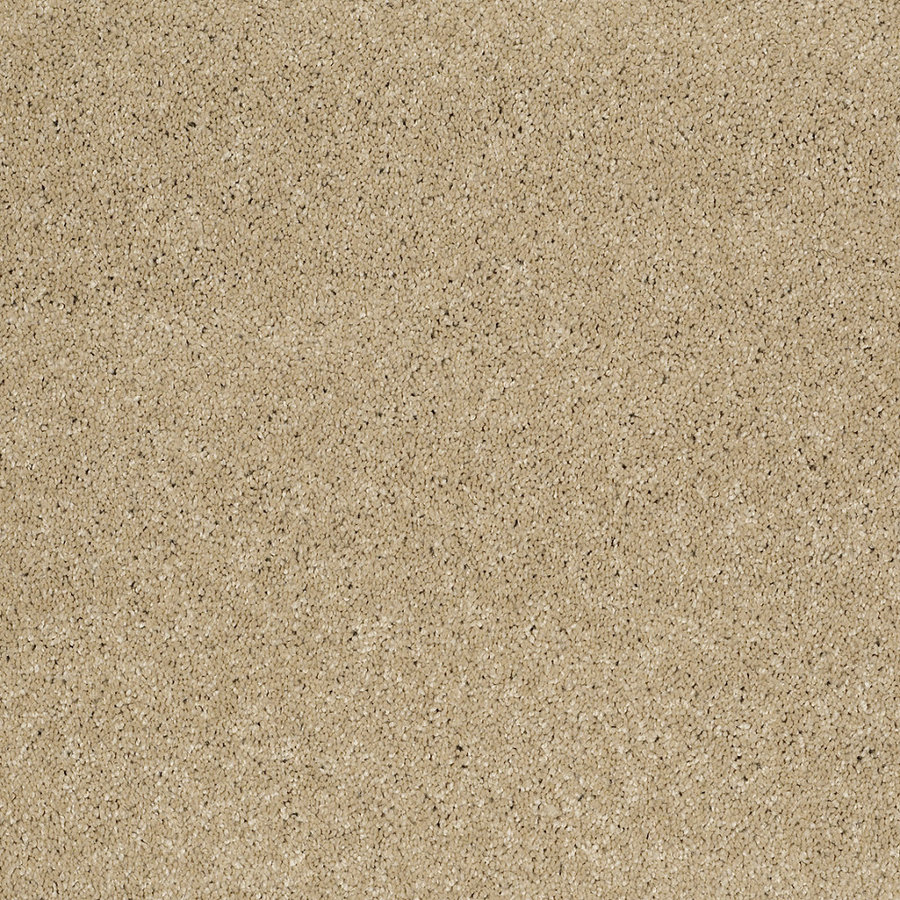 STAINMASTER Trusoft Luscious III Canyon Road Textured Indoor Carpet
