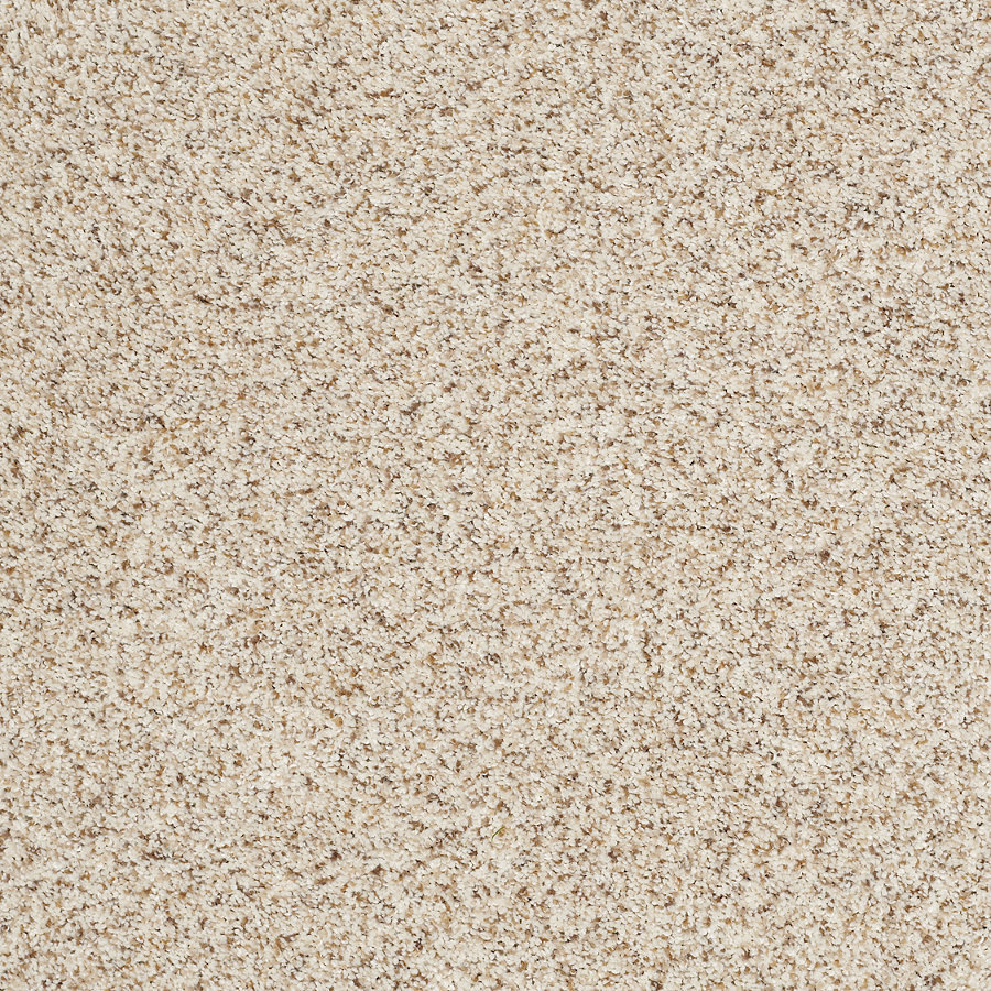 STAINMASTER Trusoft Luscious II Smooth Satin Textured Indoor Carpet