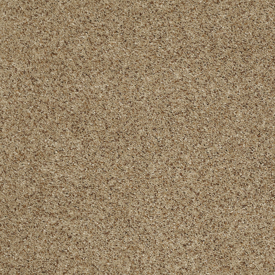 STAINMASTER Trusoft Luscious II Riverbed Textured Indoor Carpet