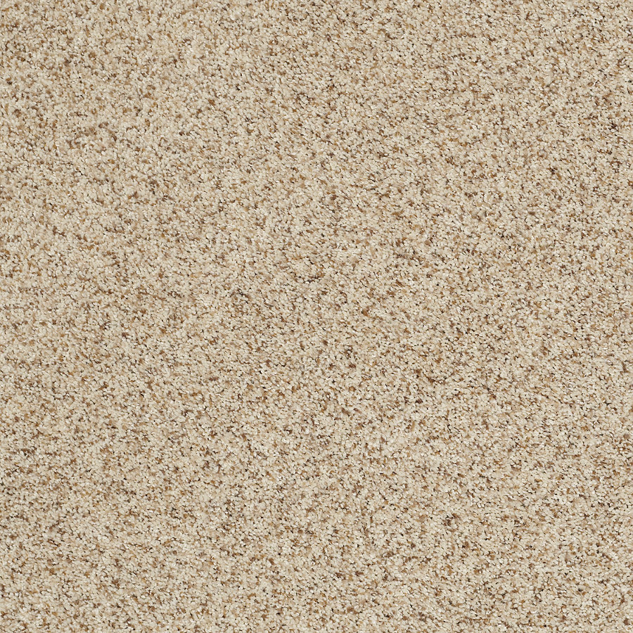 STAINMASTER Trusoft Luscious III Beach Party Textured Indoor Carpet