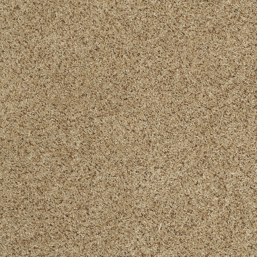 STAINMASTER Trusoft Luscious III Nature Walk Textured Indoor Carpet