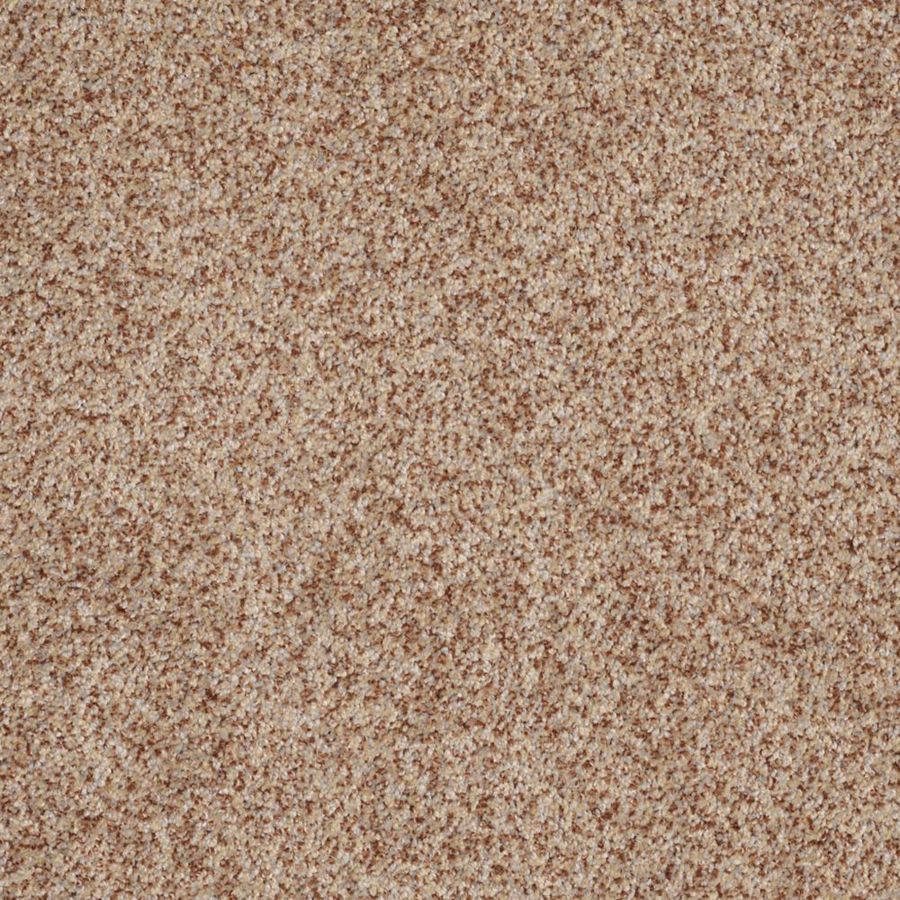 STAINMASTER Trusoft Private Oasis I 12 Florence Fashion Forward Indoor Carpet