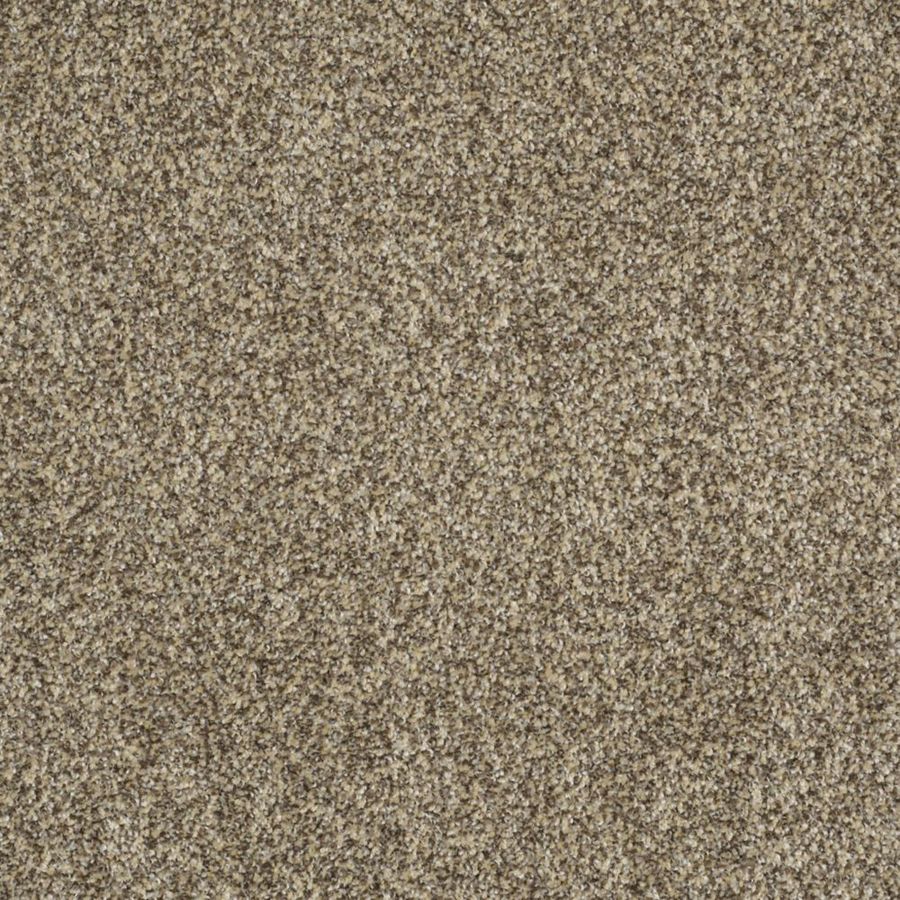 STAINMASTER Trusoft Private Oasis I 12 Taupe Fashion Forward Indoor Carpet