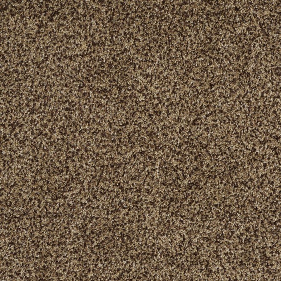 STAINMASTER TruSoft Private Oasis II Supreme Textured Indoor Carpet