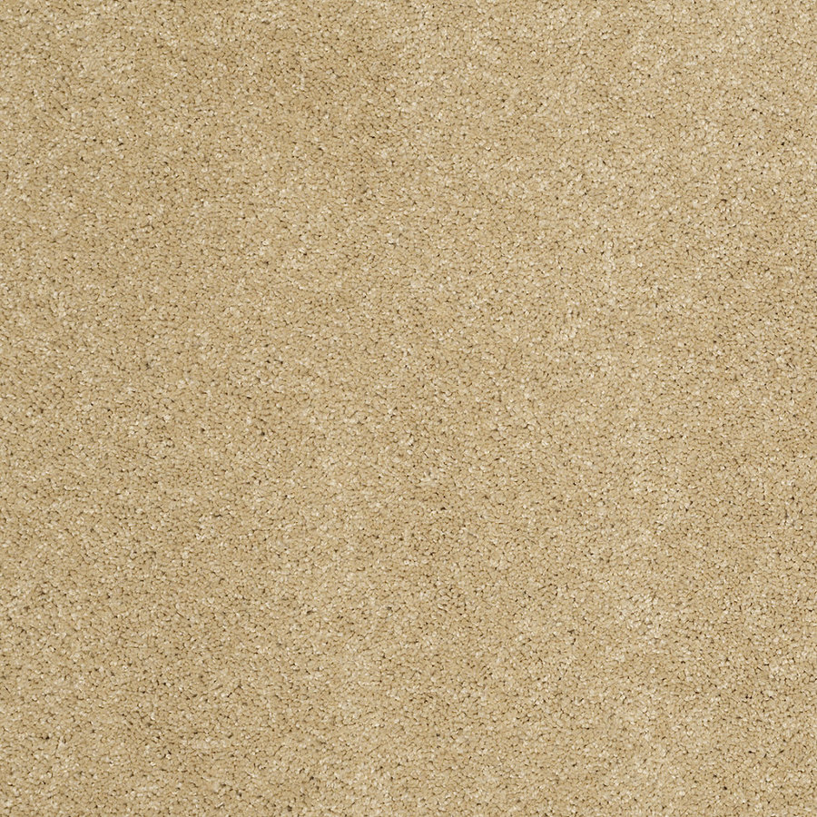 STAINMASTER TruSoft Luscious I (S) Honey Textured Indoor Carpet