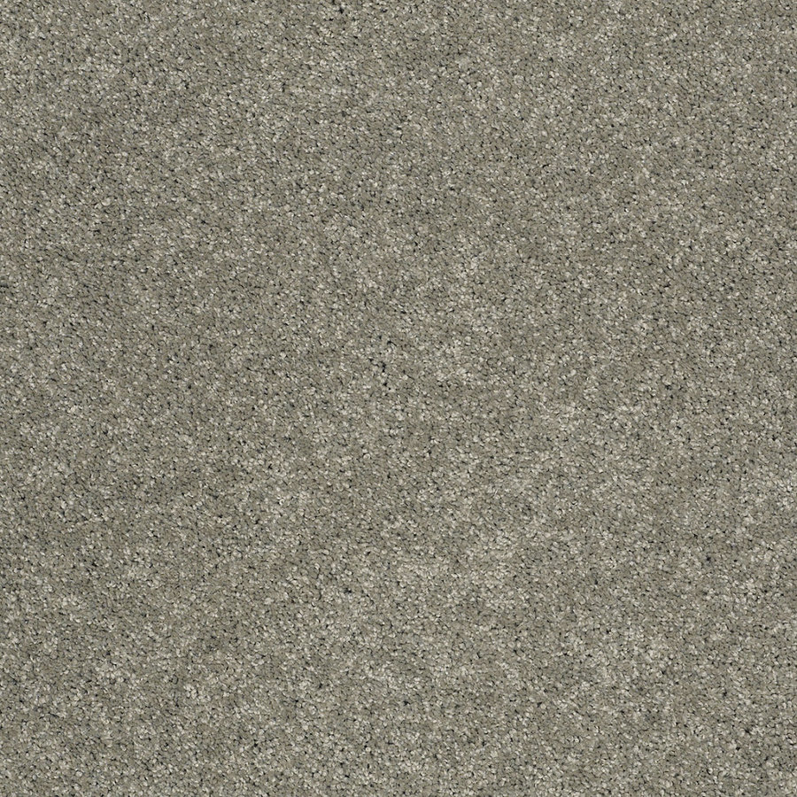 STAINMASTER Trusoft Luscious I Cape Cod Textured Indoor Carpet