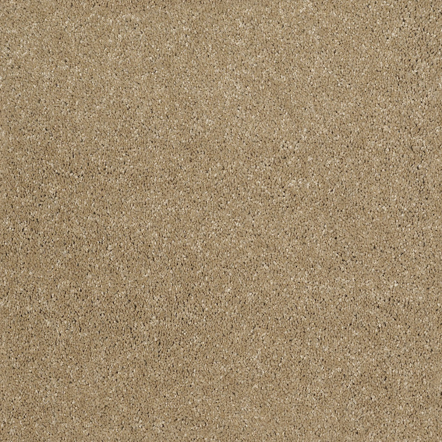 STAINMASTER Trusoft Luscious I Flax Textured Indoor Carpet