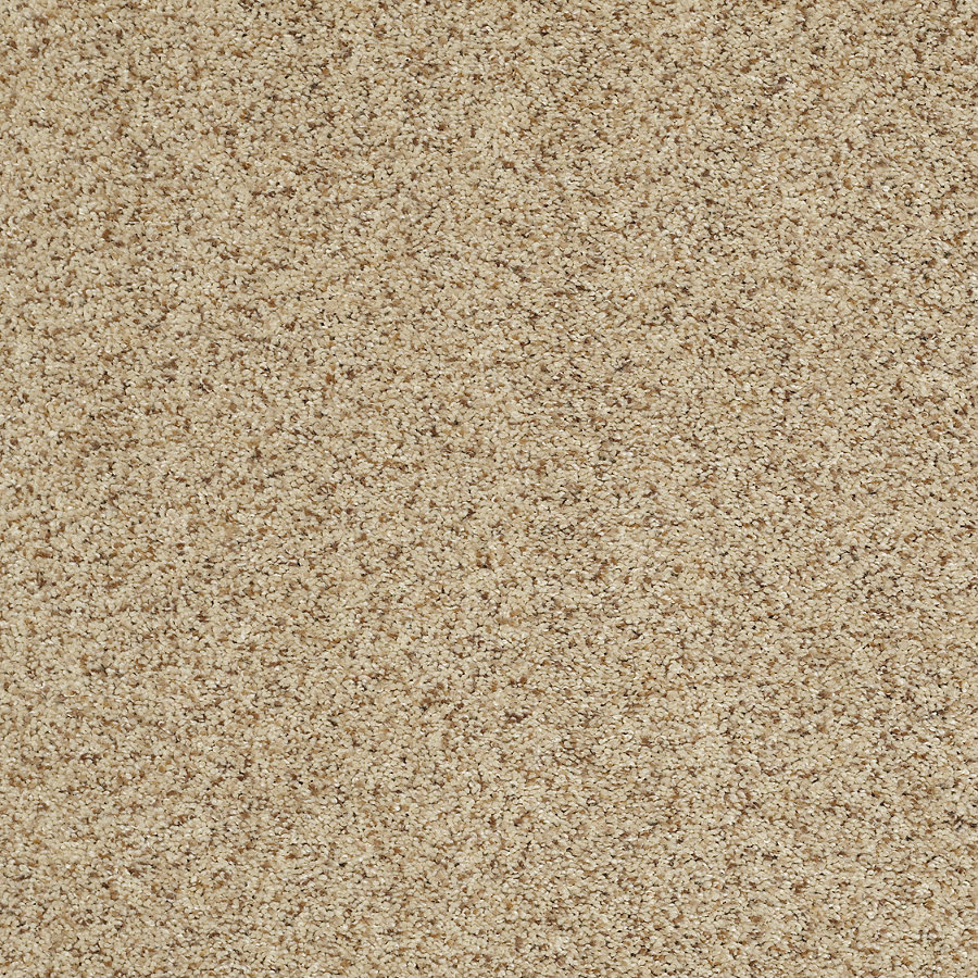 STAINMASTER Trusoft Luscious I Vellum Textured Indoor Carpet