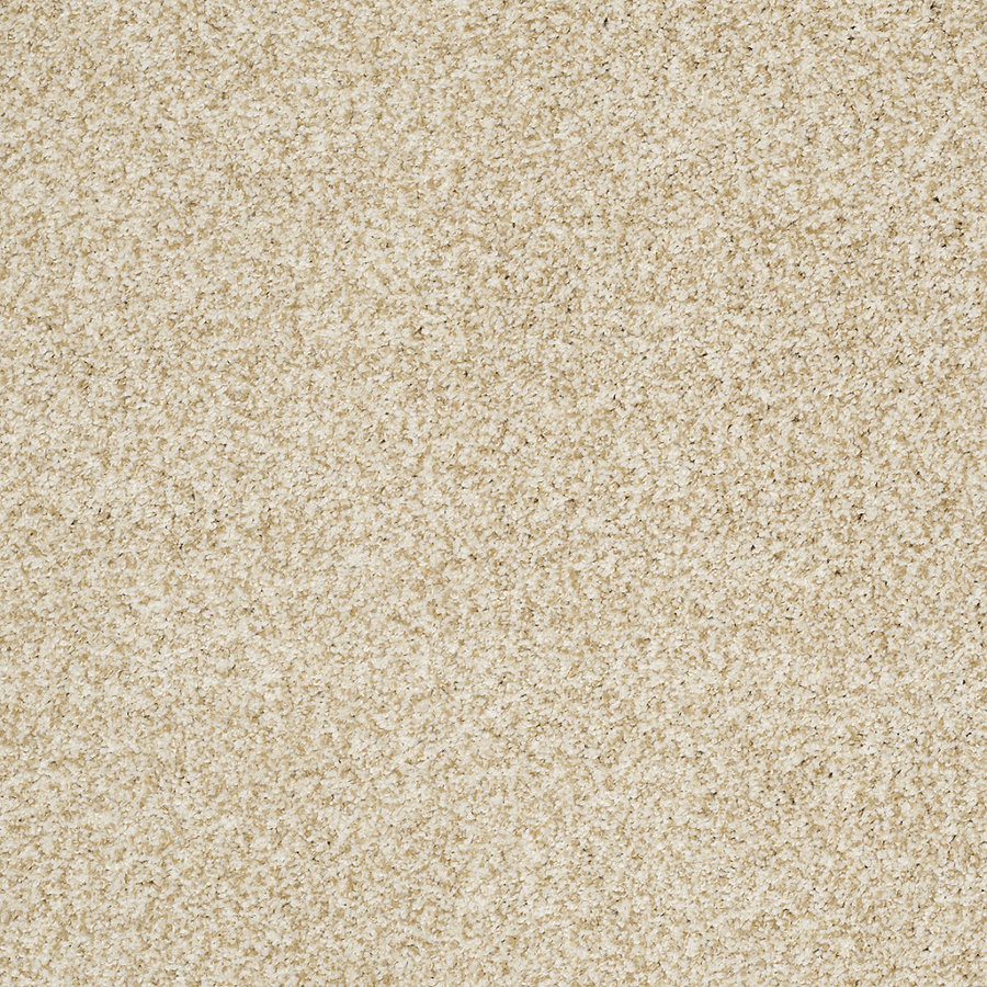 STAINMASTER Trusoft Peaceful Mood II Barely There Textured Indoor Carpet