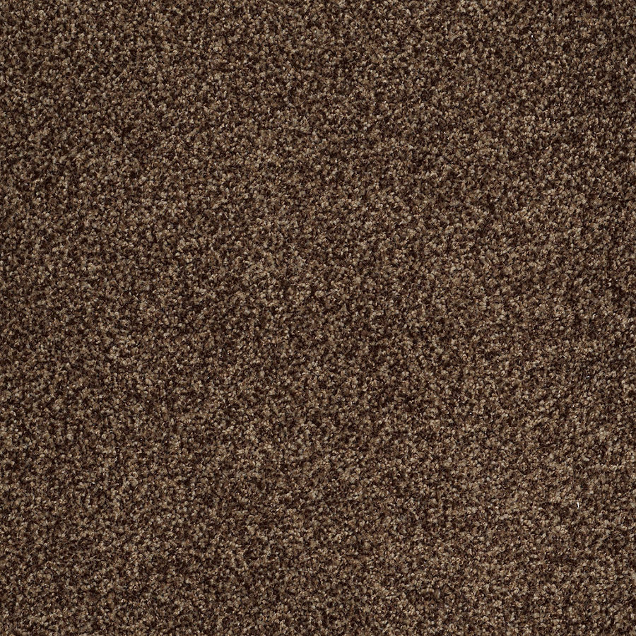 STAINMASTER Trusoft Peaceful Mood II Boulevard Textured Indoor Carpet