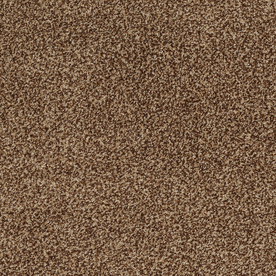 STAINMASTER Trusoft Peaceful Mood II Rustic Textured Indoor Carpet