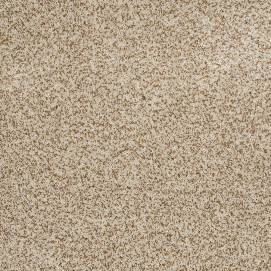 STAINMASTER Trusoft Private Oasis III Cappuccino Textured Indoor Carpet