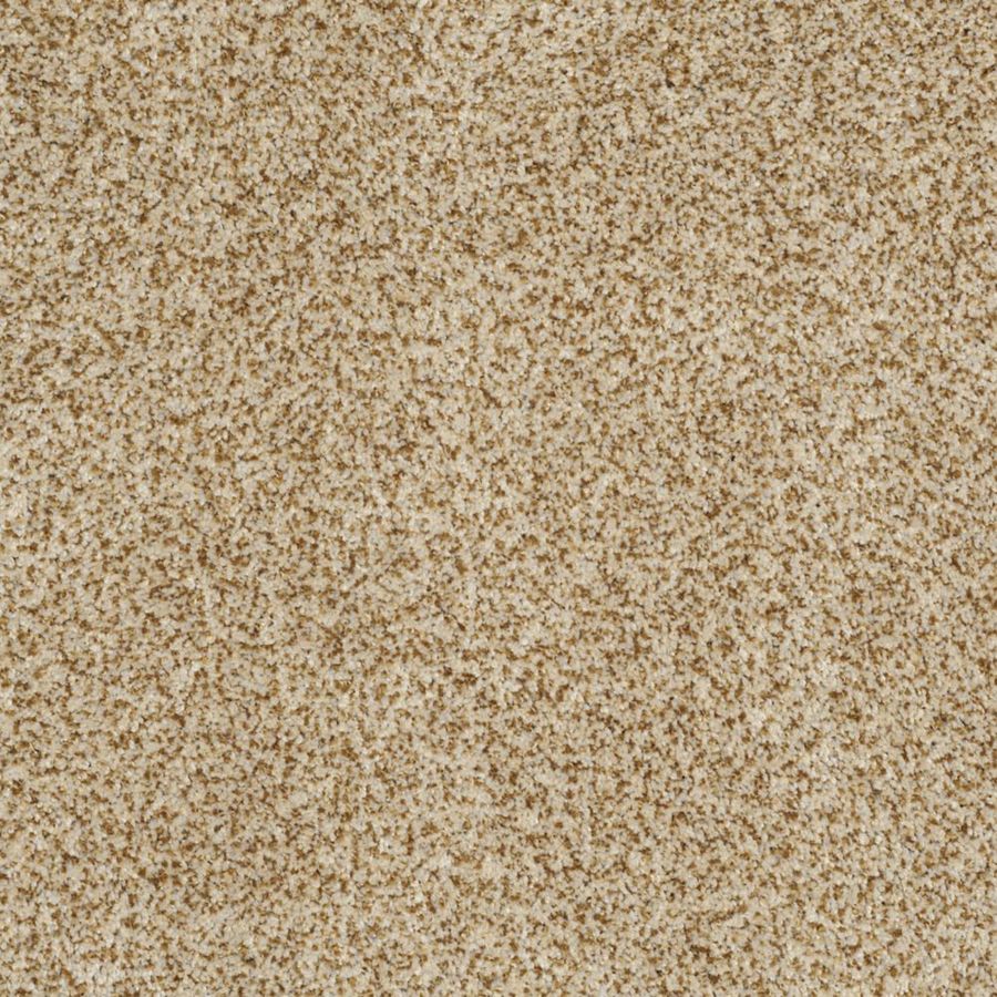 STAINMASTER Trusoft Private Oasis III Apollo Textured Indoor Carpet