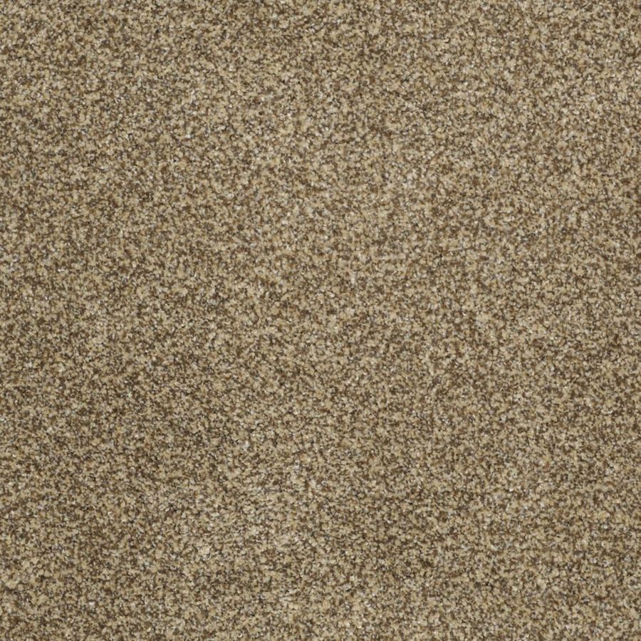 STAINMASTER Trusoft Private Oasis III Sahara Gold Textured Indoor Carpet