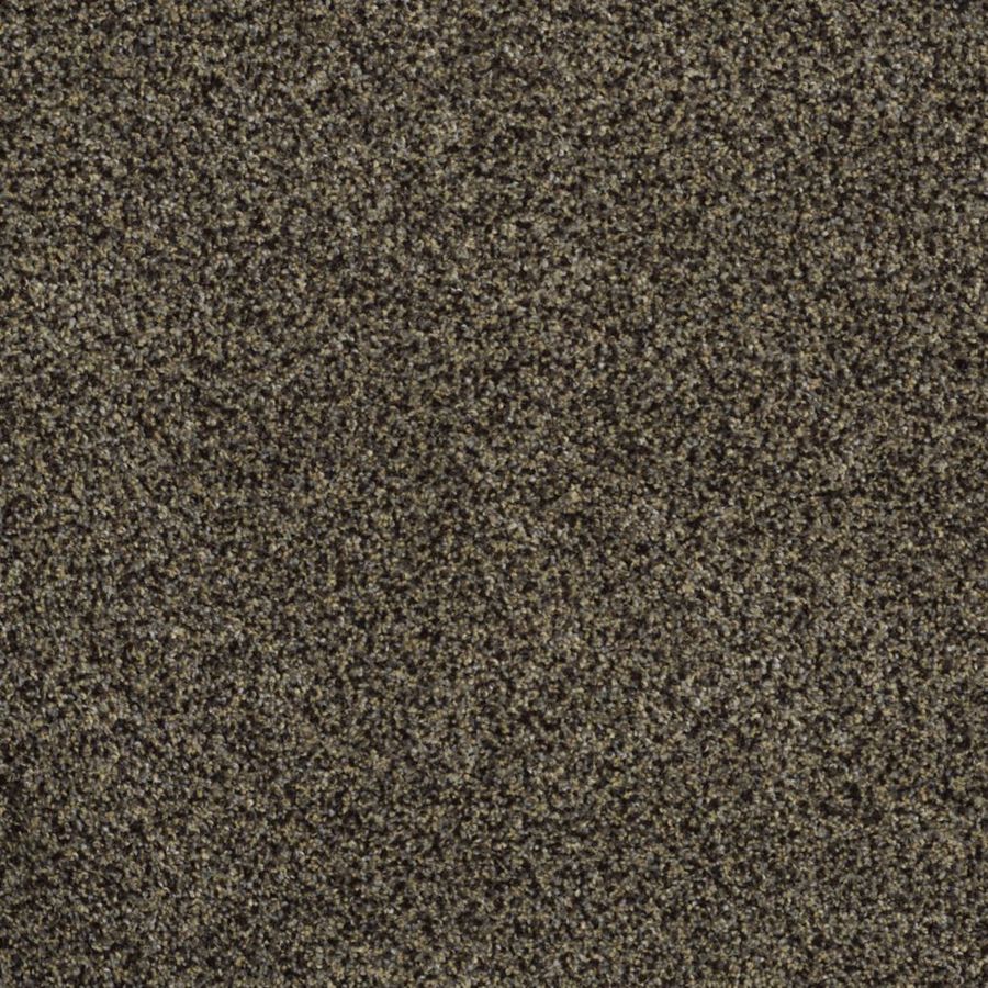 STAINMASTER Trusoft Private Oasis III Star Beach Textured Indoor Carpet